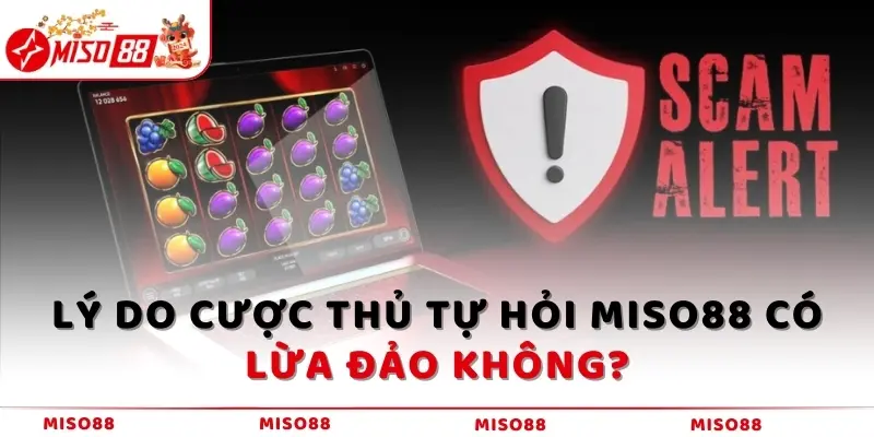 Lý do cược thủ tự hỏi MISO88 có lừa đảo không?